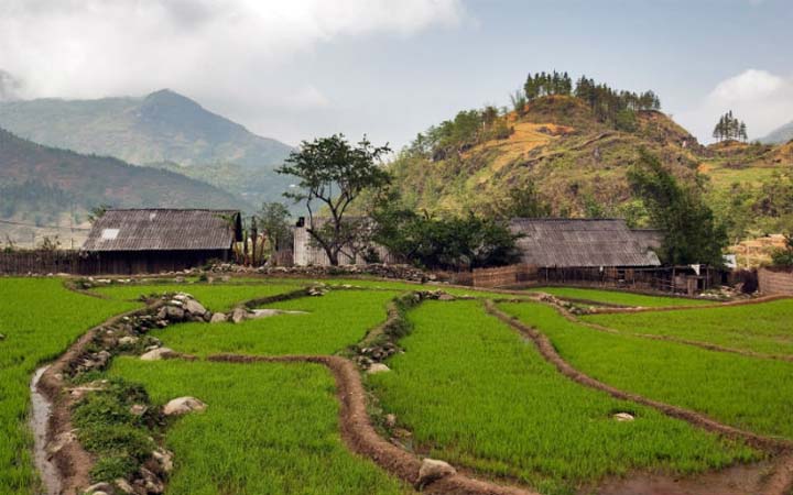 Ma Tra village Sapa