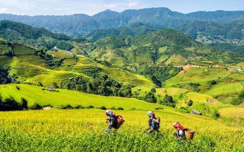 ta phin village sapa