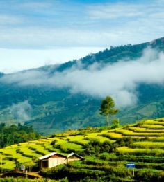 ban ho village