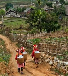 ban ho village