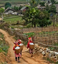 ban ho village