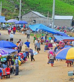 coc ly market