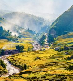 ta giang phinh
