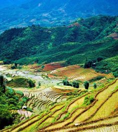 tram ton to sapa valley