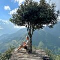 lonely tree sapa
