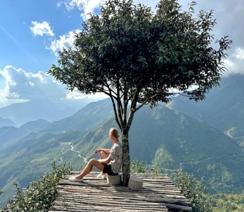 lonely tree sapa
